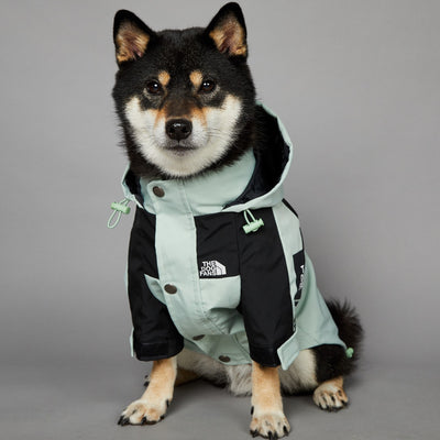 Impermeable para Perros Grandes Resistente al Viento y la Lluvia - Image 4