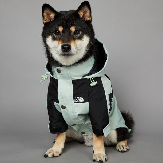 Impermeable para Perros Grandes Resistente al Viento y la Lluvia - Image 4