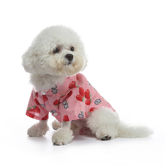 Ropa Casual para Perros con Estilo Frutal - Image 3