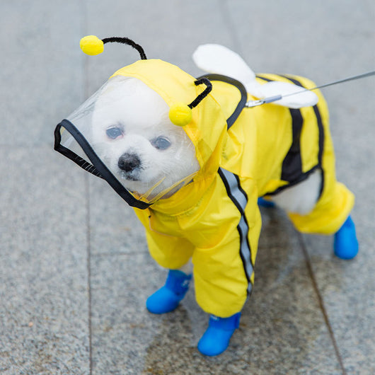 Poncho Impermeable para Perros - Abrigo Completo Tipo Teddy - Image 7