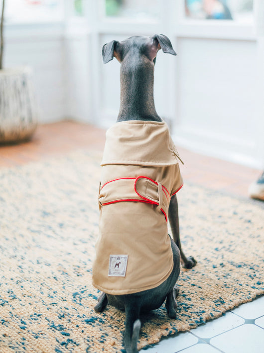 Abrigo de Algodón 100% para Perros - Ropa Cómoda y Práctica - Image 6