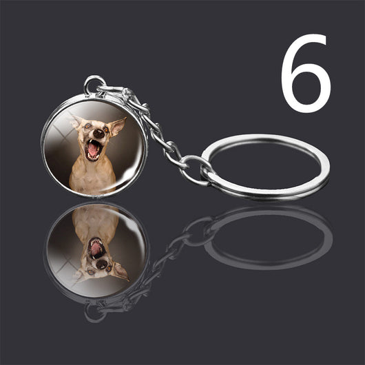 Llavero Colgante de Cristal Doble Cara Luminoso para Mascotas - Image 5