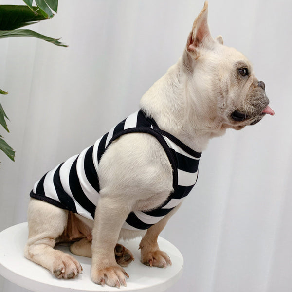 Ropa de Verano Personalizada para Perros - Diseño Fresco y Elegante