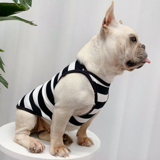 Ropa de Verano Personalizada para Perros - Diseño Fresco y Elegante
