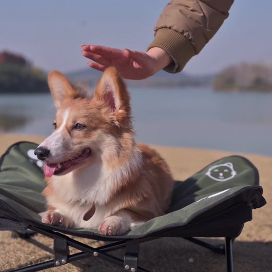 Cama Plegable para Mascotas con Diseño Desmontable y Lavable - Image 13