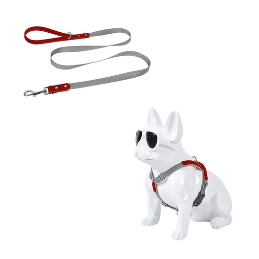 Arnés de Pecho para Perro en Cuero con Correa de Nylon - Image 20