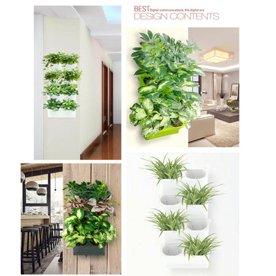 Macetero Vertical Apilable para Plantas Suculentas y Bonsái