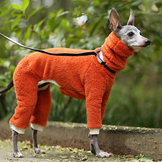 Ropa de Algodón Cálida y Moderna para Perros