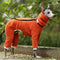 Ropa de Algodón Cálida y Moderna para Perros