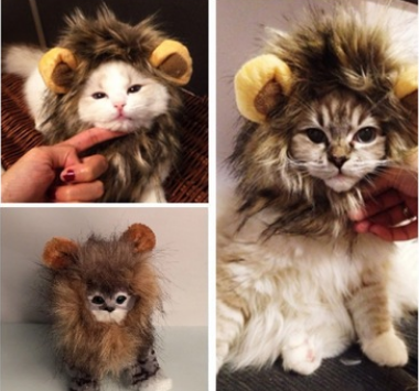 Gorro León Divertido para Perros y Gatos - Disfraz de Melena para Mascotas - Image 3