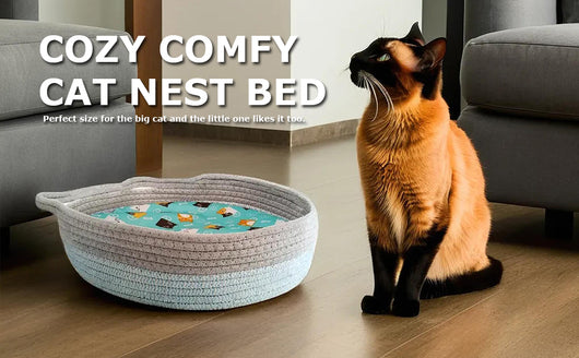 Cama Redonda de Mimbre para Gatos - Nido Donut Refrescante y Lavable - Image 9
