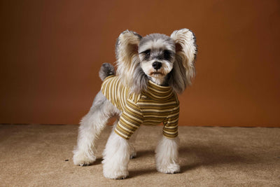 Camiseta Interior Ajustada para Perros Maltés y Schnauzer - Tejido Hipoalergénico - Image 13