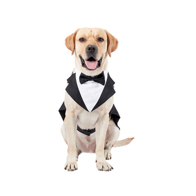 Traje Elegante con Pajarita para Perros - Image 8