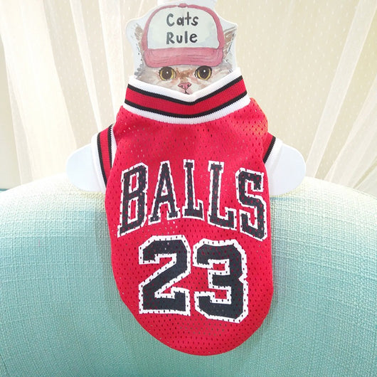 Chaleco Transpirable de Personalidad para Mascotas - Image 12