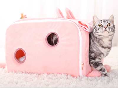 Arena para Gatos Invierno - Image 8