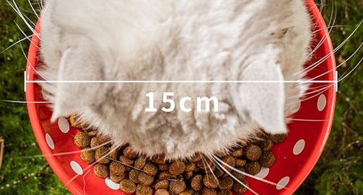 Comedero Elevado para Gatos con Diseño de Lunares y Cerámica Segura - Image 19