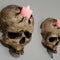 Portavelas Decorativo Calavera para Pared