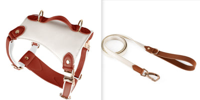 Arnés de Cuero para Mascotas con Cuerda Guía - Image 7