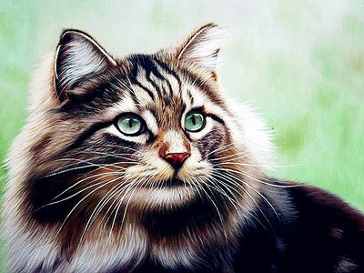 Pintura de Diamantes Gato - Bordado de Cristales Brillantes - Image 32