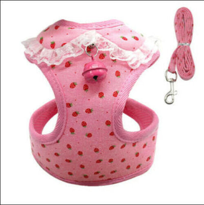 Chaleco Transpirable para Perros - Diseño Cómodo y Elegante - Image 10