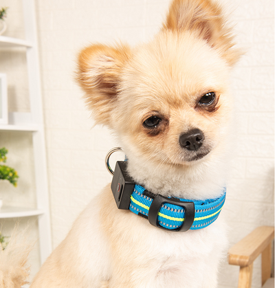 Collar Inteligente para Mascotas con Fibra Óptica, Impermeable y Carga Magnética - Image 24
