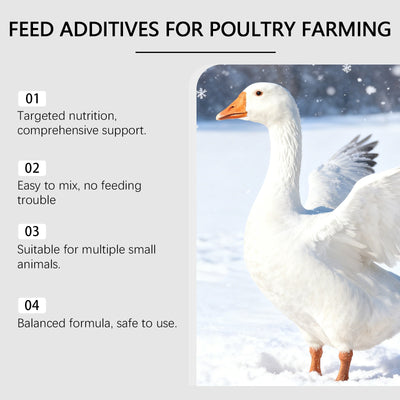 Tabletas de Suplemento Nutricional para Aves de Corral y Animales Pequeños - Image 13