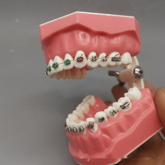 Modelo de Guía de Cepillado Ortodóncico para Alineación Perfecta - Image 4