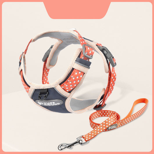 Arnés de Pecho con Correa para Mascotas - Conjunto Completo - Image 10