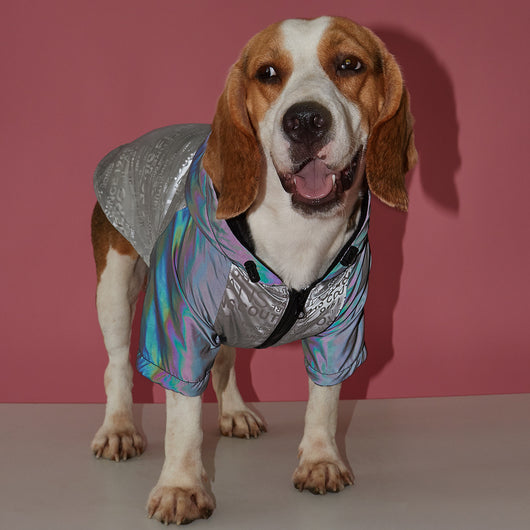 Impermeable Reflectante para Perros con Forro de Algodón - Image 12