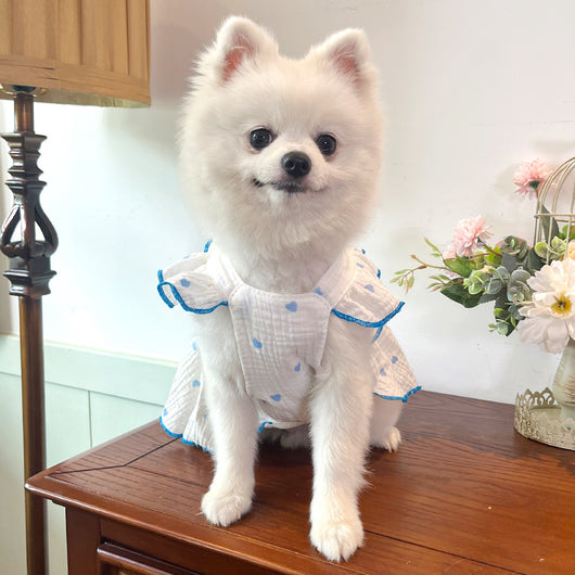 Vestido Floral de Algodón Pet Love - Image 15