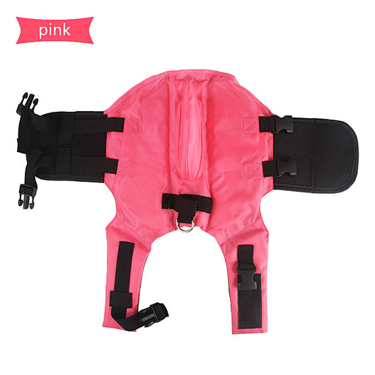 Chaleco Salvavidas para Perros Diseño Tiburón - Protección Acuática Verano - Image 8