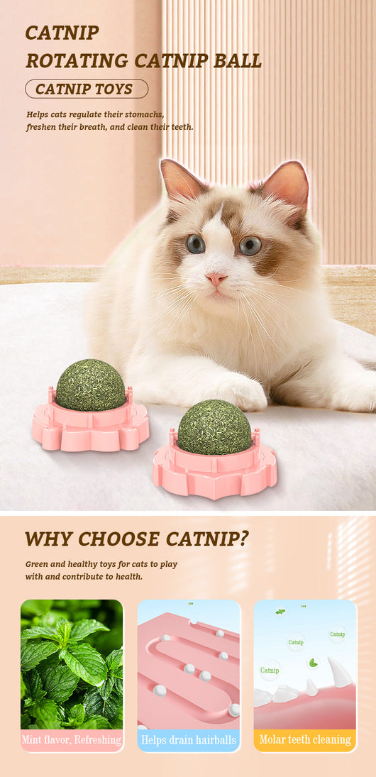 Juguete Mordedor Molar para Gatos con Hierba Gatera Adhesiva - Image 18