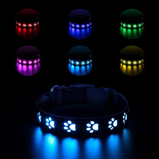 Collar LED Luminoso 7 Colores para Perros y Gatos con Carga USB - Image 2