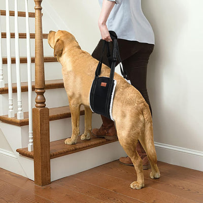 Arnés de Soporte para Patas Traseras de Perros - Rehabilitación de Ligamentos - Image 4