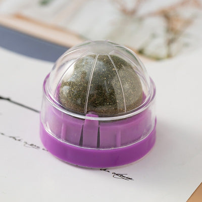 Juguete Interactivo de Menta Gatuna con Limpieza Dental para Gatos - Image 22