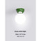 Light Tricolor Green