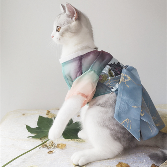 Ropa Hanfu Gato Primavera - Sección Delgada Anticaída
