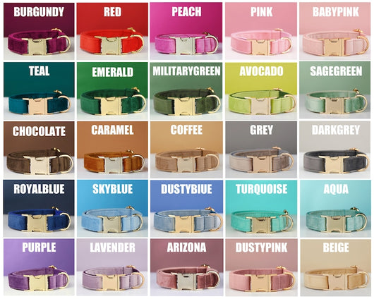 Collar y Correa para Perro de Terciopelo Personalizable con Moño - Image 2