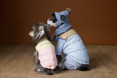 Chaleco Acolchado de Invierno para Perros Pequeños - Teddy, Schnauzer, Bichón - Image 28