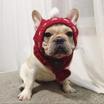 Gorro Divertido para Bulldog Francés y Pug - Image 16