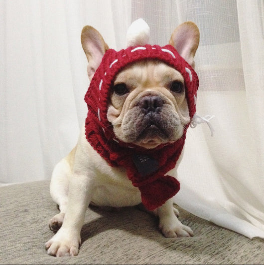 Gorro Divertido para Bulldog Francés y Pug - Image 16