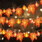 Calabaza 1.5 M