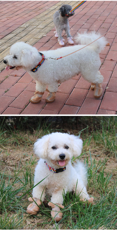 Botitas Térmicas para Perros con Decoración de Orejas - Protectores de Patas Antideslizantes - Image 14