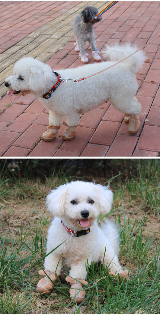Botitas Térmicas para Perros con Decoración de Orejas - Protectores de Patas Antideslizantes - Image 14
