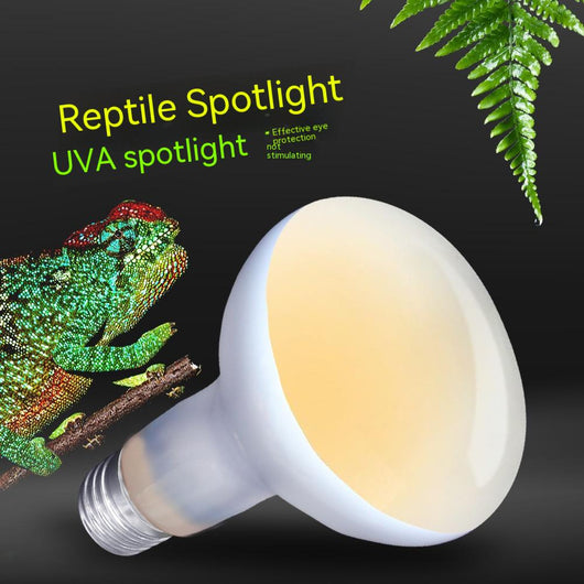 Lámpara Térmica Diurna 220V para Reptiles - Calefacción para Tortugas y Lagartos