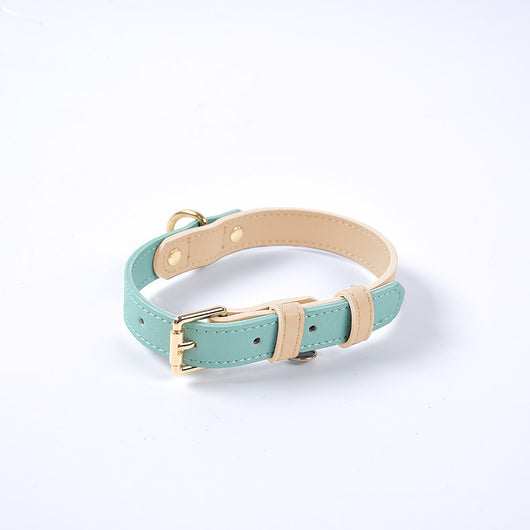 Juego de Collar y Correa para Perro en Cuero Premium - Image 5