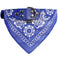 Blue Size L