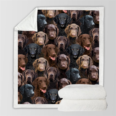 Manta Franela Estampada para Perros - Image 70