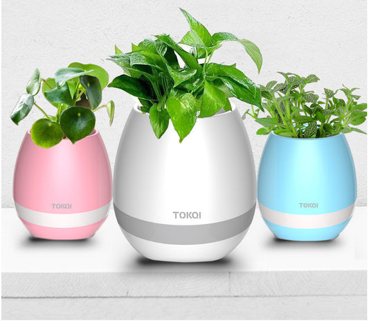 Florero Musical Táctil con Altavoz Integrado