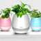 Florero Musical Táctil con Altavoz Integrado